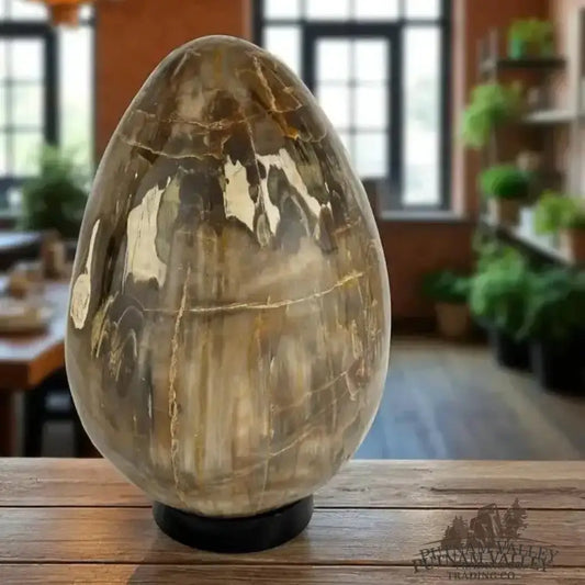 Madagascar Petrified Wood Egg 9.3’’ | 18lb - Egg