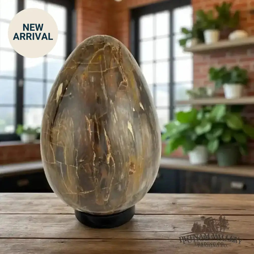Madagascar Petrified Wood Egg 9.3’’ | 18lb - Egg