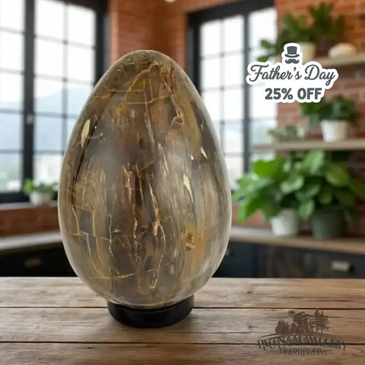 Madagascar Petrified Wood Egg 9.3’’ | 18lb - Egg