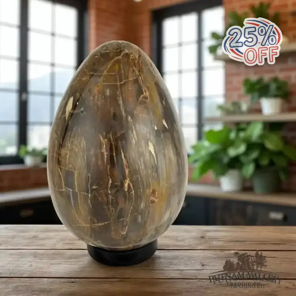 Madagascar Petrified Wood Egg 9.3’’ | 18lb - Egg