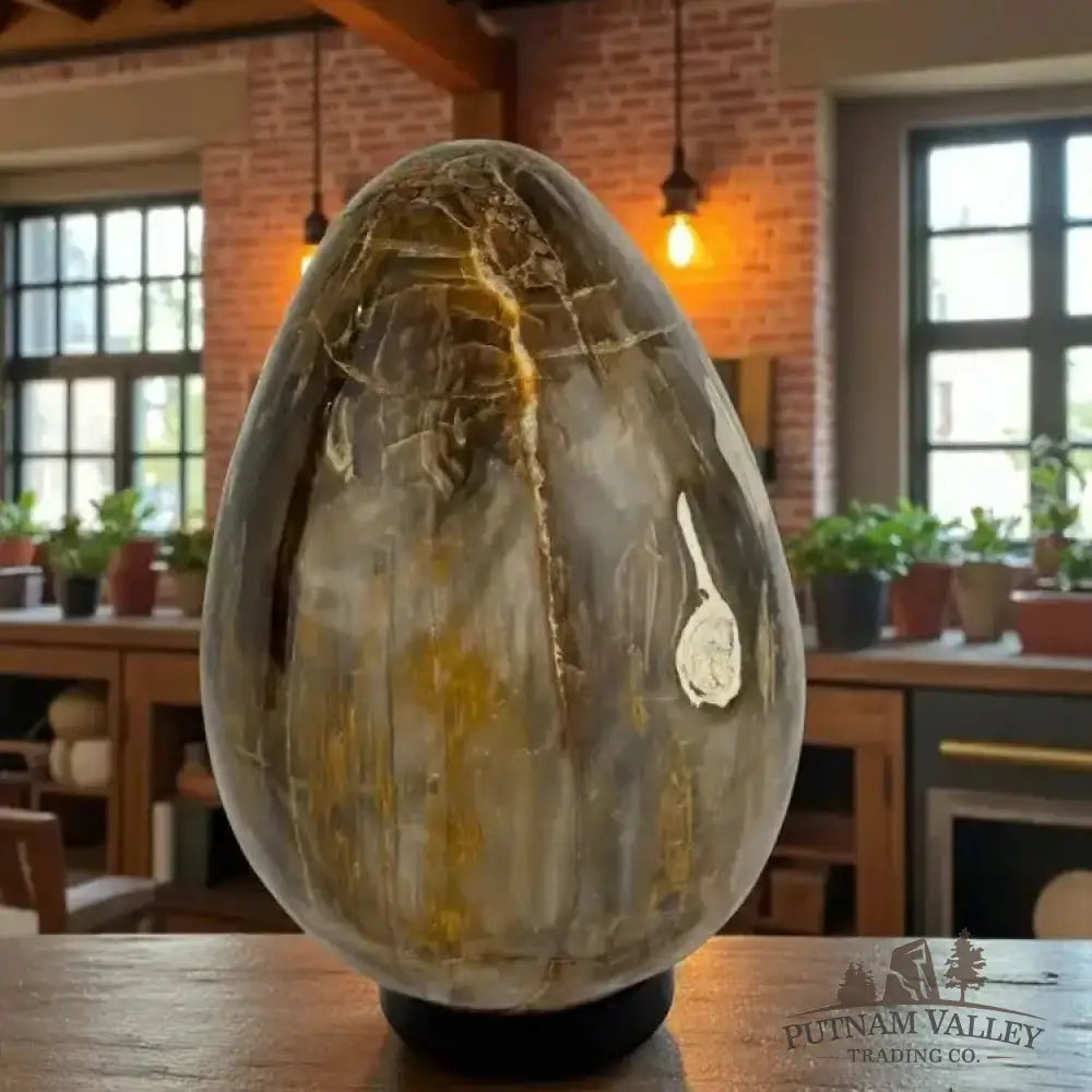 Madagascar Petrified Wood Egg 9.3’’ | 18lb - Egg