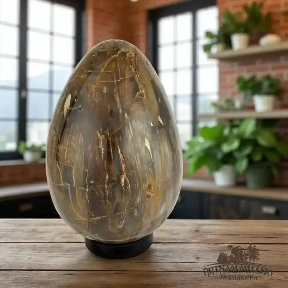Madagascar Petrified Wood Egg 9.3’’ | 18lb - Egg
