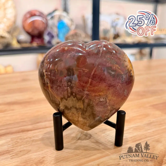 Madagascar Petrified Wood Heart 3.82’’ Heart