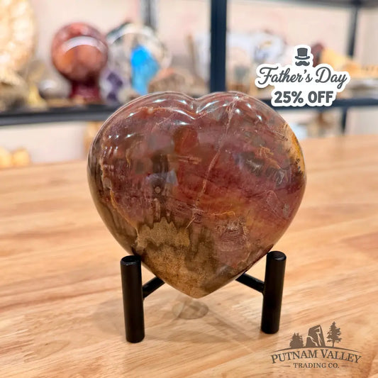 Madagascar Petrified Wood Heart 3.82’’ Heart