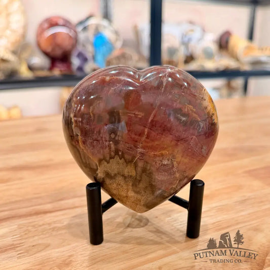 Madagascar Petrified Wood Heart 3.82’’ Heart
