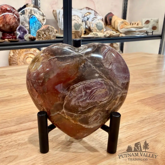 Madagascar Petrified Wood Heart 3.84’’ Heart