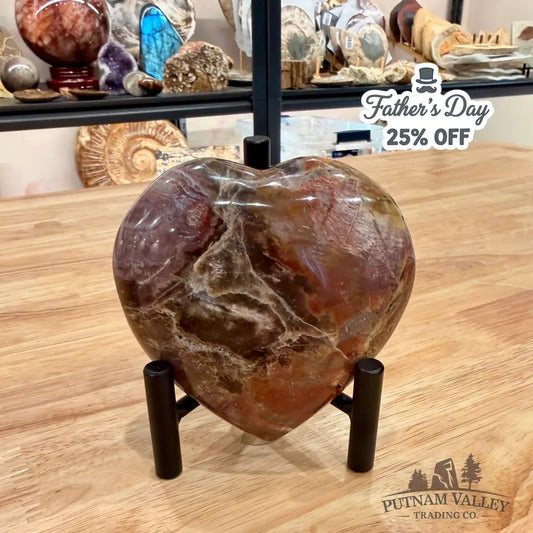 Madagascar Petrified Wood Heart 3.84’’ Heart