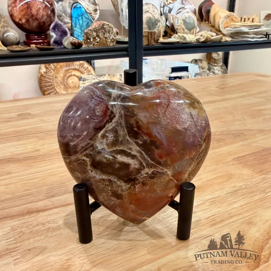 Madagascar Petrified Wood Heart 3.84’’ Heart