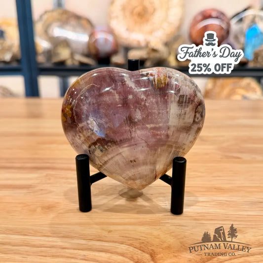 Madagascar Petrified Wood Heart 4.01’’ Heart