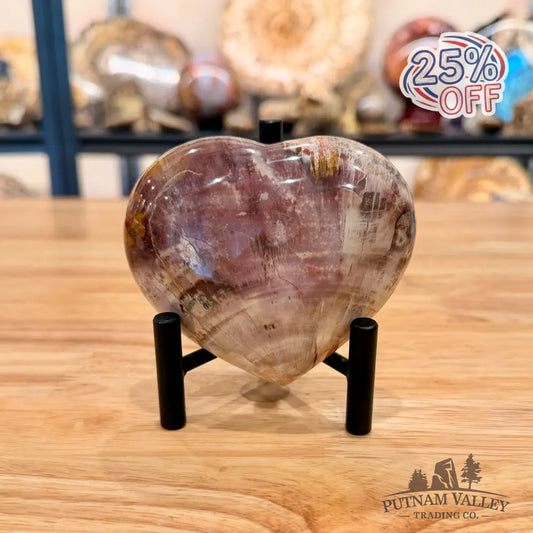 Madagascar Petrified Wood Heart 4.01’’ Heart