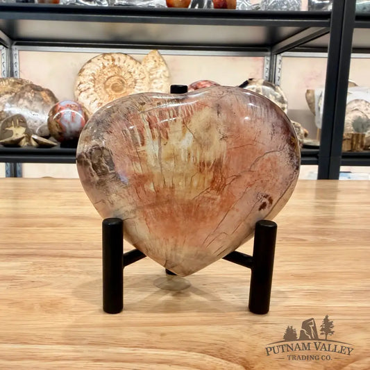 Madagascar Petrified Wood Heart 4.01’’ Heart