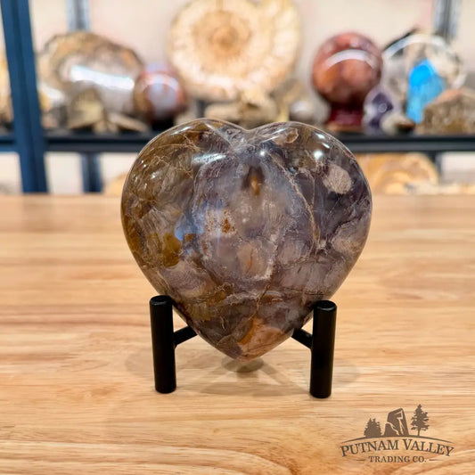 Madagascar Petrified Wood Heart 4.08’’ Heart