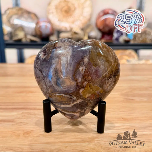 Madagascar Petrified Wood Heart 4.08’’ Heart