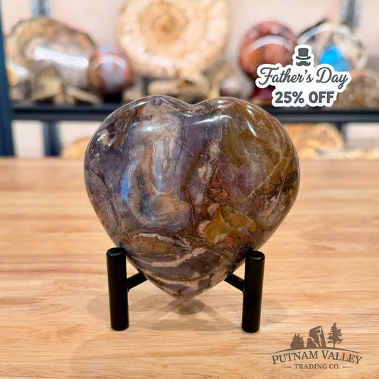 Madagascar Petrified Wood Heart 4.08’’ Heart