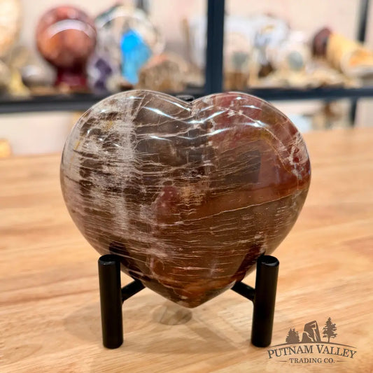 Madagascar Petrified Wood Heart 4.13’’ Heart