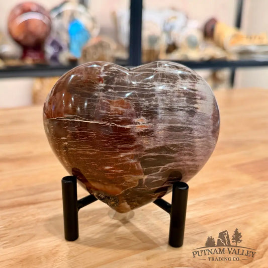 Madagascar Petrified Wood Heart 4.13’’ Heart