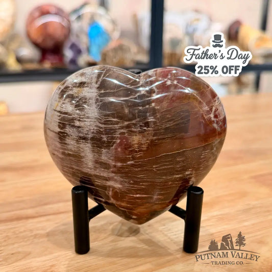 Madagascar Petrified Wood Heart 4.13’’ Heart