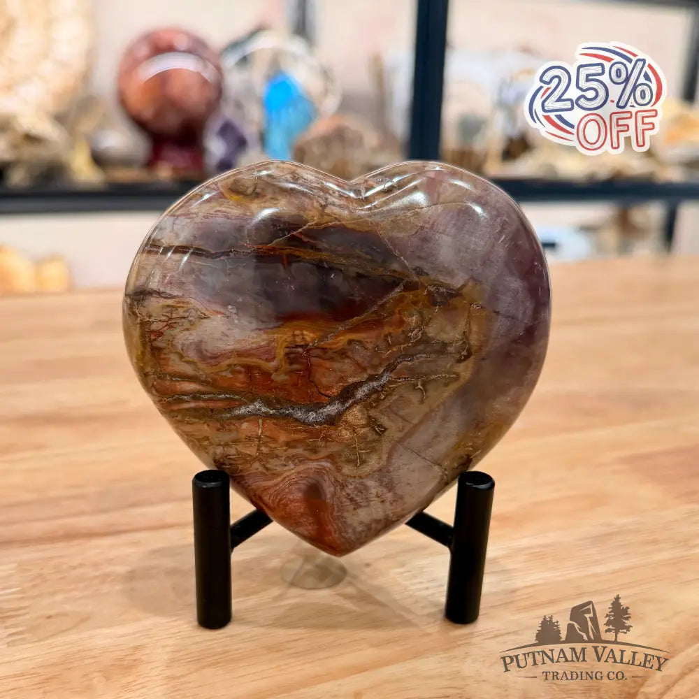 Madagascar Petrified Wood Heart 4.2’’ Heart
