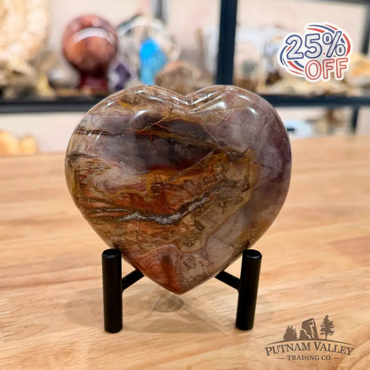 Madagascar Petrified Wood Heart 4.2’’ Heart