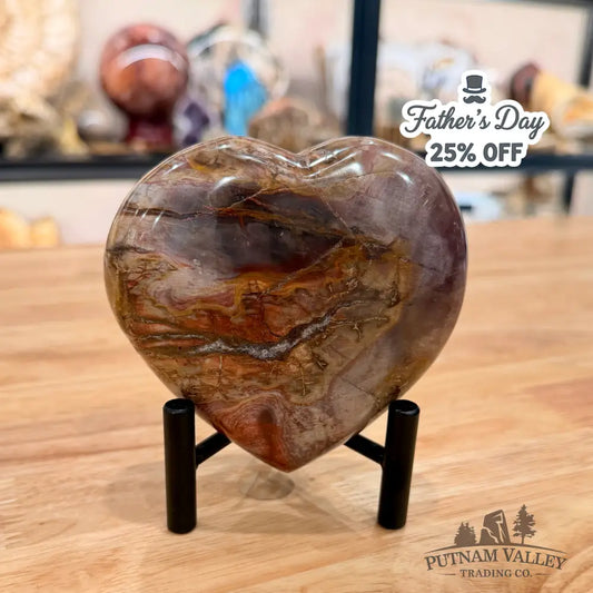 Madagascar Petrified Wood Heart 4.2’’ Heart