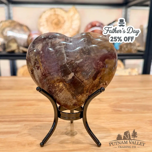 Madagascar Petrified Wood Heart 4.97’’ Heart