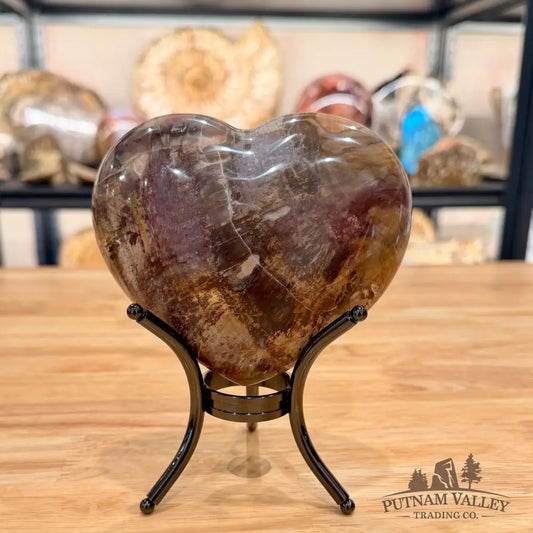 Madagascar Petrified Wood Heart 4.97’’ Heart