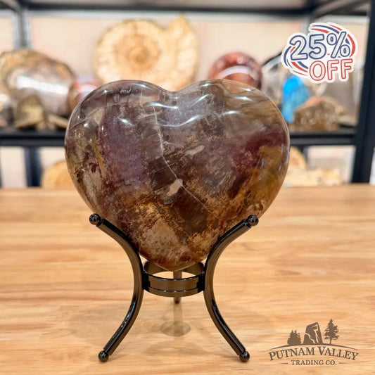 Madagascar Petrified Wood Heart 4.97’’ Heart