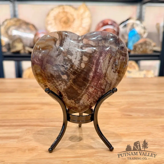 Madagascar Petrified Wood Heart 4.97’’ Heart