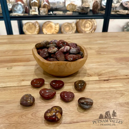 Madagascar Petrified Wood Hearts Heart