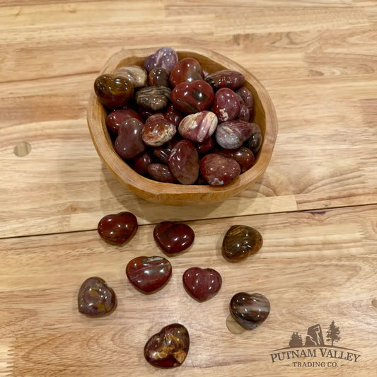 Madagascar Petrified Wood Hearts Heart