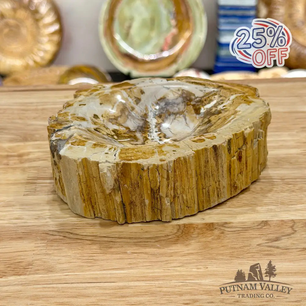 Madagascar Petrified Wood Rustic Bowl 5.9’’ - Bowl