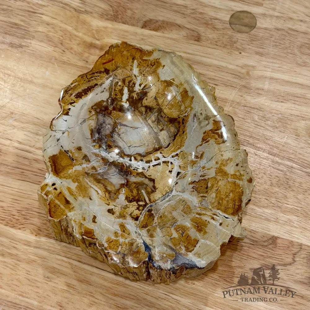 Madagascar Petrified Wood Rustic Bowl 5.9’’ - Bowl