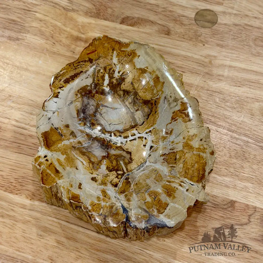Madagascar Petrified Wood Rustic Bowl 5.9’’ - Bowl