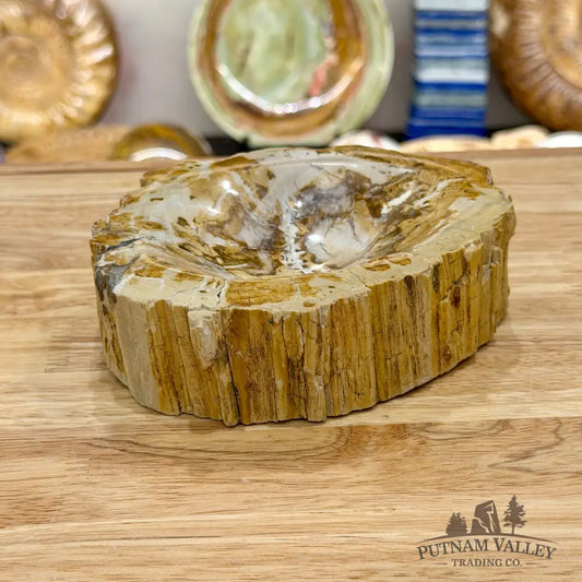 Madagascar Petrified Wood Rustic Bowl 5.9’’ - Bowl