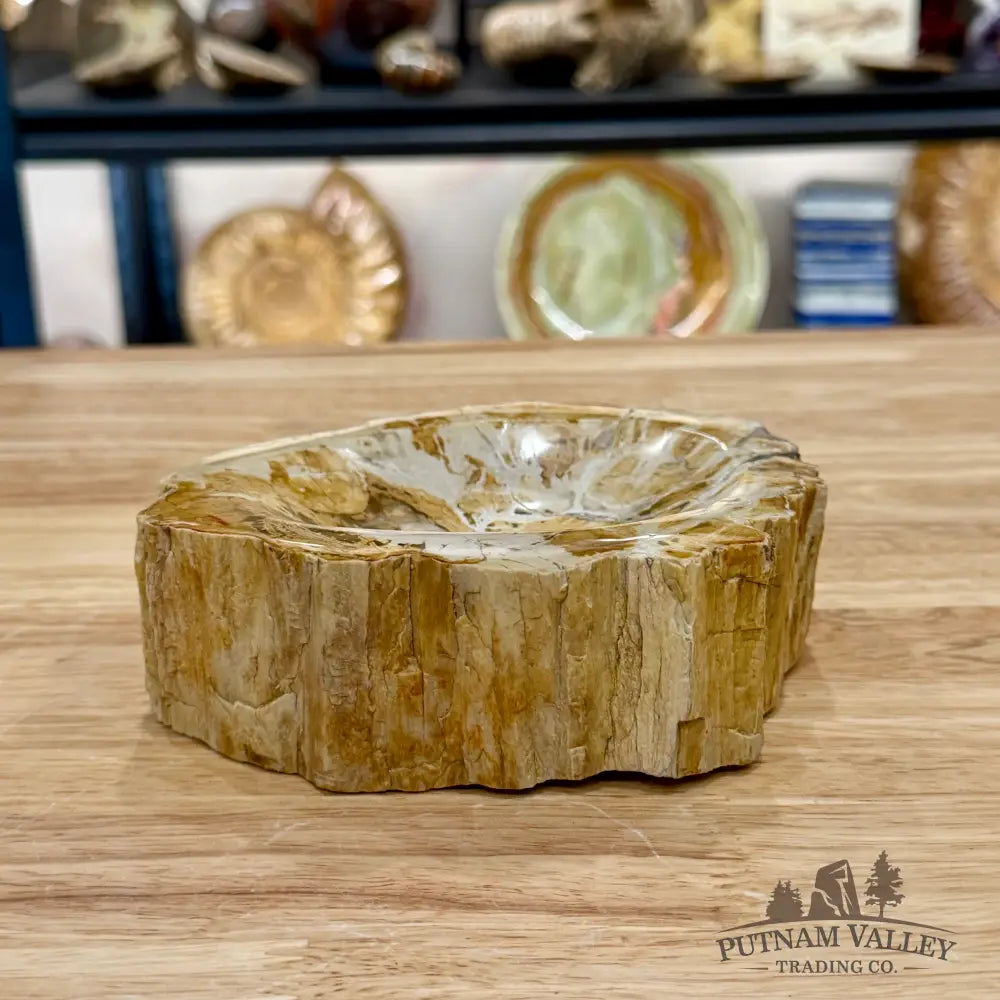 Madagascar Petrified Wood Rustic Bowl 5.9’’ - Bowl
