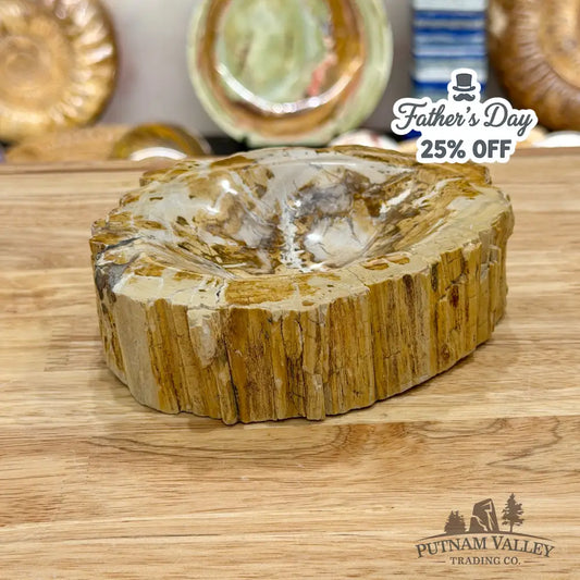 Madagascar Petrified Wood Rustic Bowl 5.9’’ - Bowl
