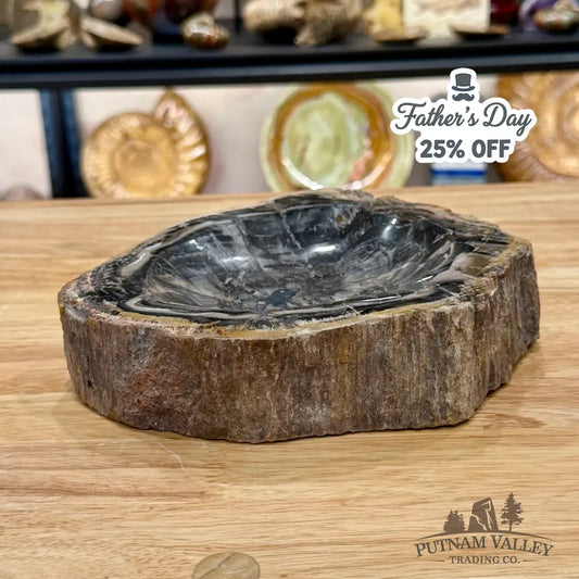 Madagascar Petrified Wood Rustic Bowl 7.5’’ - Bowl