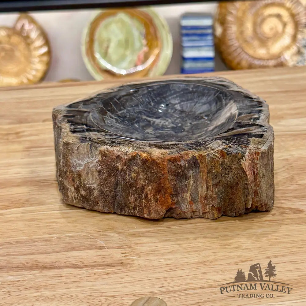 Madagascar Petrified Wood Rustic Bowl 7.5’’ - Bowl