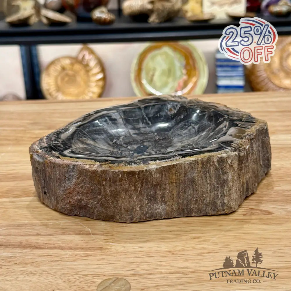 Madagascar Petrified Wood Rustic Bowl 7.5’’ - Bowl