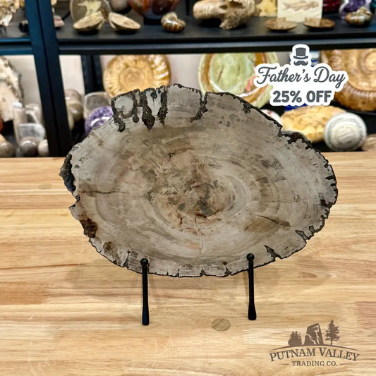 Madagascar Petrified Wood Slab 11.25’’ - Slab