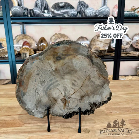 Madagascar Petrified Wood Slab 11.3’’ Slab