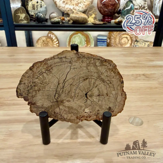 Madagascar Petrified Wood Slab 4.67’’ - Slab