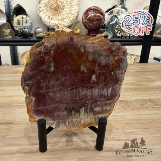 Madagascar Petrified Wood Slab 5.25’’ - Slab
