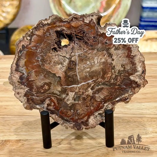 Madagascar Petrified Wood Slab 5.6’’ - Slab