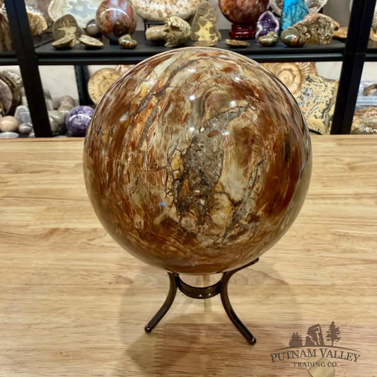 Madagascar Petrified Wood Sphere 5.48’’ - Sphere
