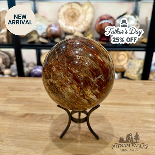 Madagascar Petrified Wood Sphere 5.48’’ - Sphere