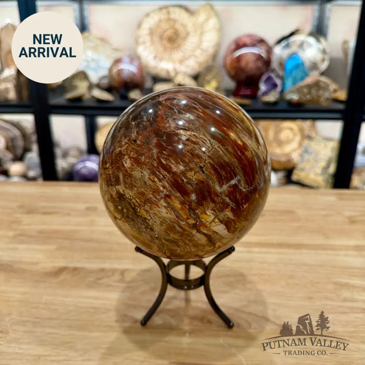 Madagascar Petrified Wood Sphere 5.48’’ - Sphere