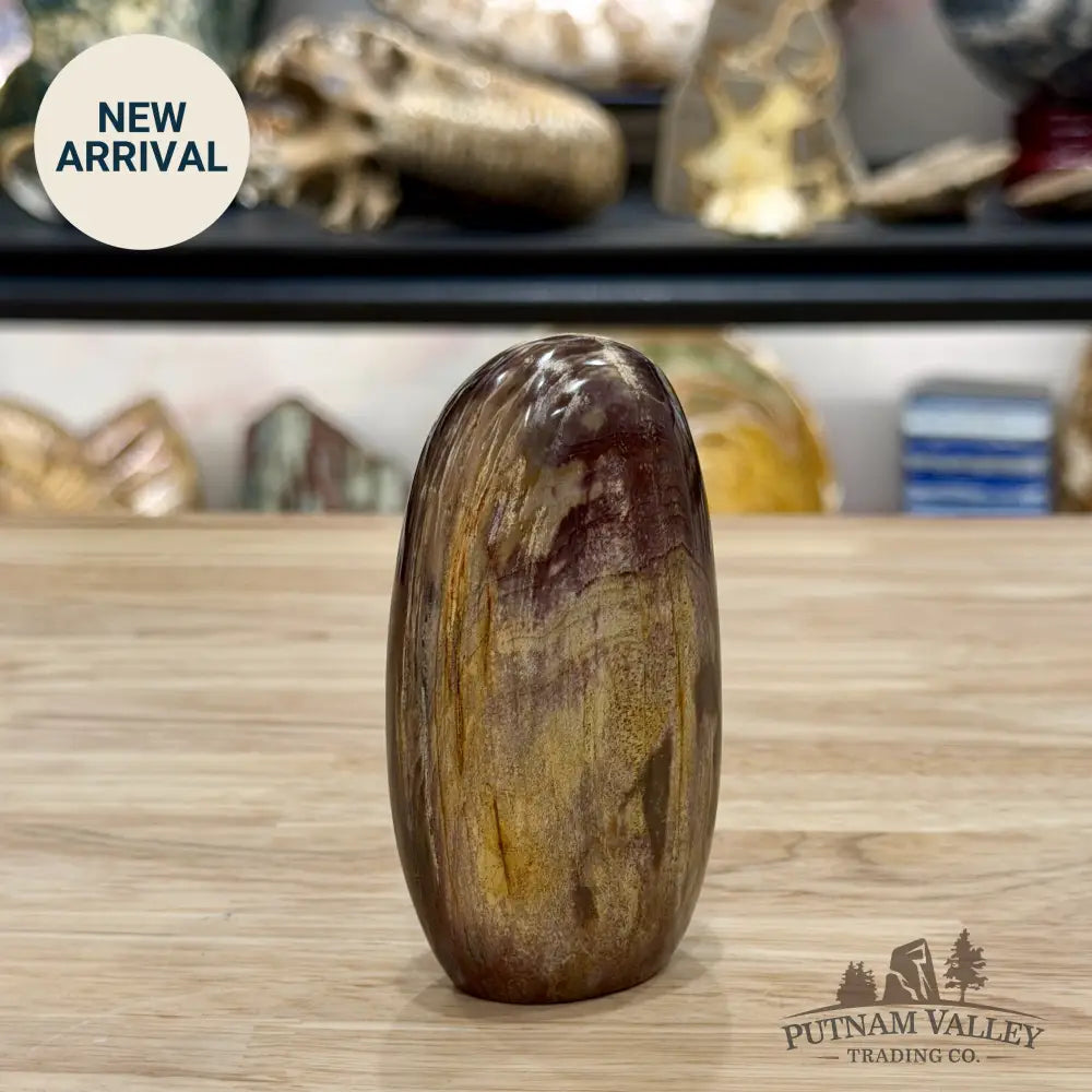 Madagascar Petrified Wood Table Accent 3.74’’ - Free Standing Accent