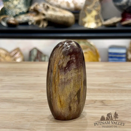 Madagascar Petrified Wood Table Accent 3.74’’ - Free Standing Accent