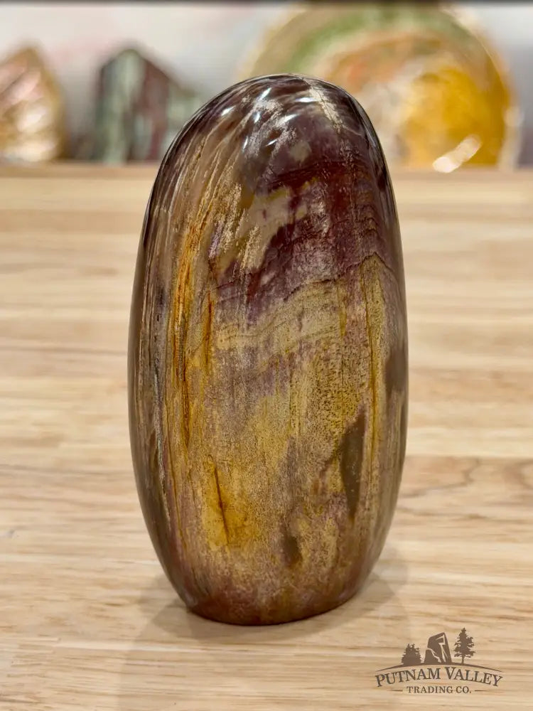 Madagascar Petrified Wood Table Accent 3.74’’ - Free Standing Accent